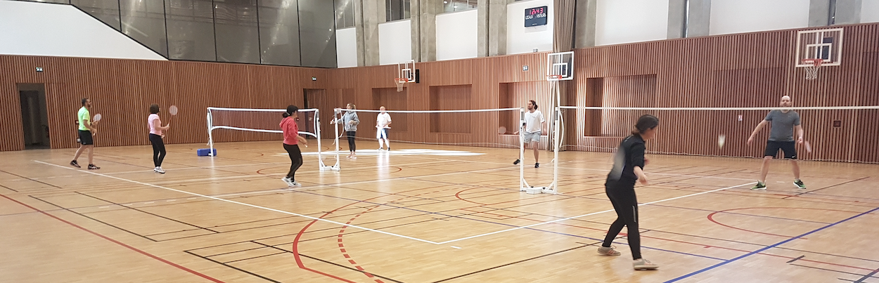 Image de Badminton